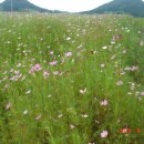 암태면보건지소 이미지