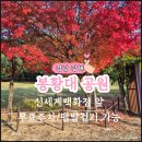 봉황대공원(주차장입구) 이미지