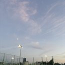 탄금풋살장 이미지