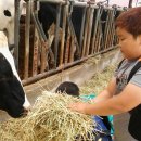 두산목장 이미지