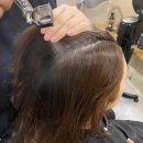 수원-1394 이미지