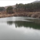 송리농장 티스토리