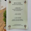 주정차42 | 평택브런치 맛집 평택카페 탭씨브루 합정 방문후기