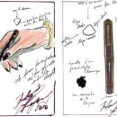 에스티(S.T) 이미지