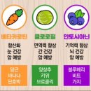 바디포커스 이미지