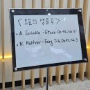 (공연) 스타인웨이 위너 콘서트 이미지