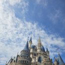 주식회사 내이 | 혼자 도쿄디즈니랜드 오픈런해서 패스트패스 현질하고 12시간 넘게 놀다온후기