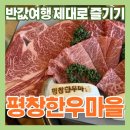 동막골 한우 농장 | 평창 반값여행 맛집 추천｜평창한우마을 면온점 투쁠 한우 후기