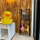 고성 애견동반펜션 풀펫 이미지