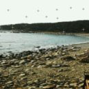 바다공인중개사사무소 이미지