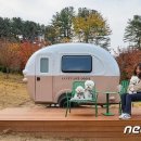 도그앤 도그 이미지