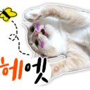 카오디오 앞 이미지