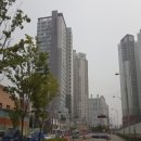 부산진구-22 이미지