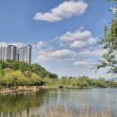 행복담 B동 | [파주 데이트] 운정 호수공원 산책, 파주 말똥도넛 주말 웨이팅 내돈내산 후기