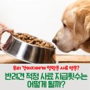 송산유치원 이미지