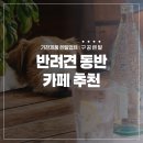 신정로13길 | 반려견 동반 카페 추천 댕댕이랑 봄날의 추억 만들기