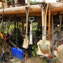 대신건재 이미지