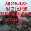 영덕햐파랑길21코스 이미지