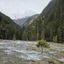 연서로21길 | 은평구점집 용궁별상장군 후회없는 상담 후기