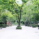 만남의폭포 매점 앞 이미지