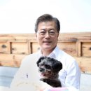 토리 이미지