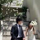자유도매시장 | 부산 자유도매시장 진플라워 꽃집 부케 구매, 웨딩촬영 실사용 후기