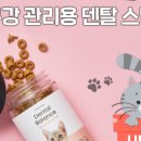 덴탈링크 이미지