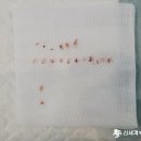 뿌리동물병원 치과센터 이미지