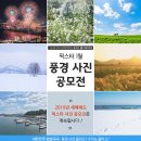 픽스타 이미지