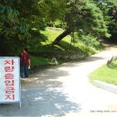 청마식당 | 439. 2009.7.10. 대한민국 경상북도 안동시 - 천등산 봉정사 [1]