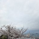 카페플라노 이미지