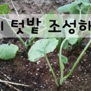 태만농장 이미지