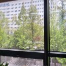 둔산중로-26 이미지