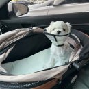 아담동물병원 이미지