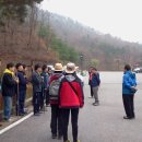 음성군청 산림축산과 선생님들 숲해설... 이미지