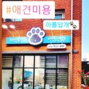 가장아름답개 이미지