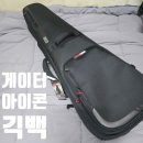 아이콘 소프트 | 게이터 아이콘(Gator Icon) 레스폴 케이스 솔직 후기. 프로고(ProGo)의 후속작? 아니, 전혀 다른 가방...