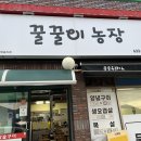 [거제도 고깃집] 거제면 삼겹살 맛집 꿀꿀이농장 후기