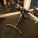 골든짐(GOLDEN GYM) 네이버블로그