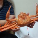 서정수산 이미지
