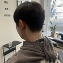 댕댕미 | 울산 남자 머리 도쿄이발소 남구 미용실 추천