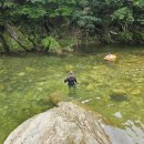 남천1리 솔밭공원 이미지