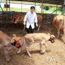김성열농장 이미지