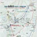 2020-983 | [밀양] 능동산(983m), 쇠점골계곡 산행후기---2020년 10월 30일(금)