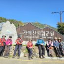 지금가야산 이미지