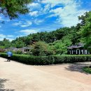정자로 | 조선시대 사대부가 차 문화공간 강릉 선교장 활래정