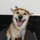 김정원미용실 이미지