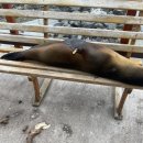 갈라파고스 산타크루즈섬 핀존투어 후기