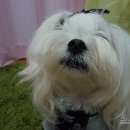 주식회사 우리가제약 이미지