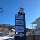 바비애견풀빌라 이미지